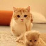 shanxi233的头像-热爱博客网