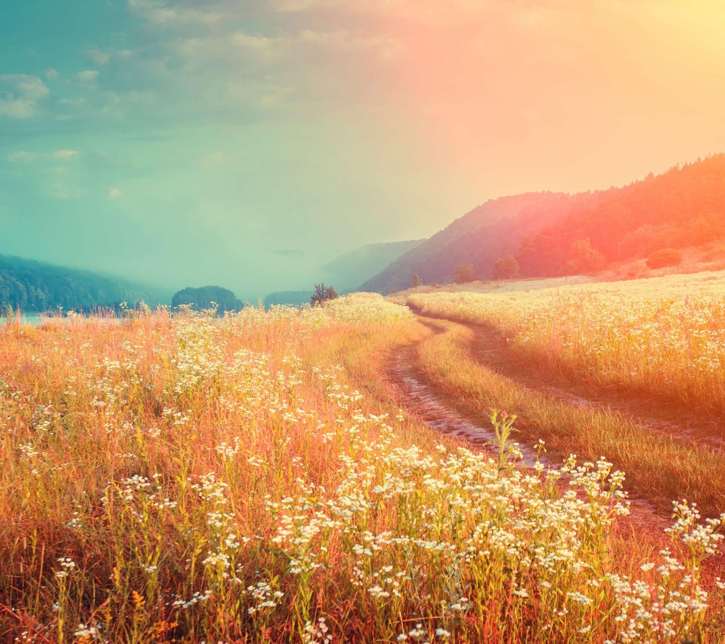 阿南吖博客 - 探索技术世界与经验分享