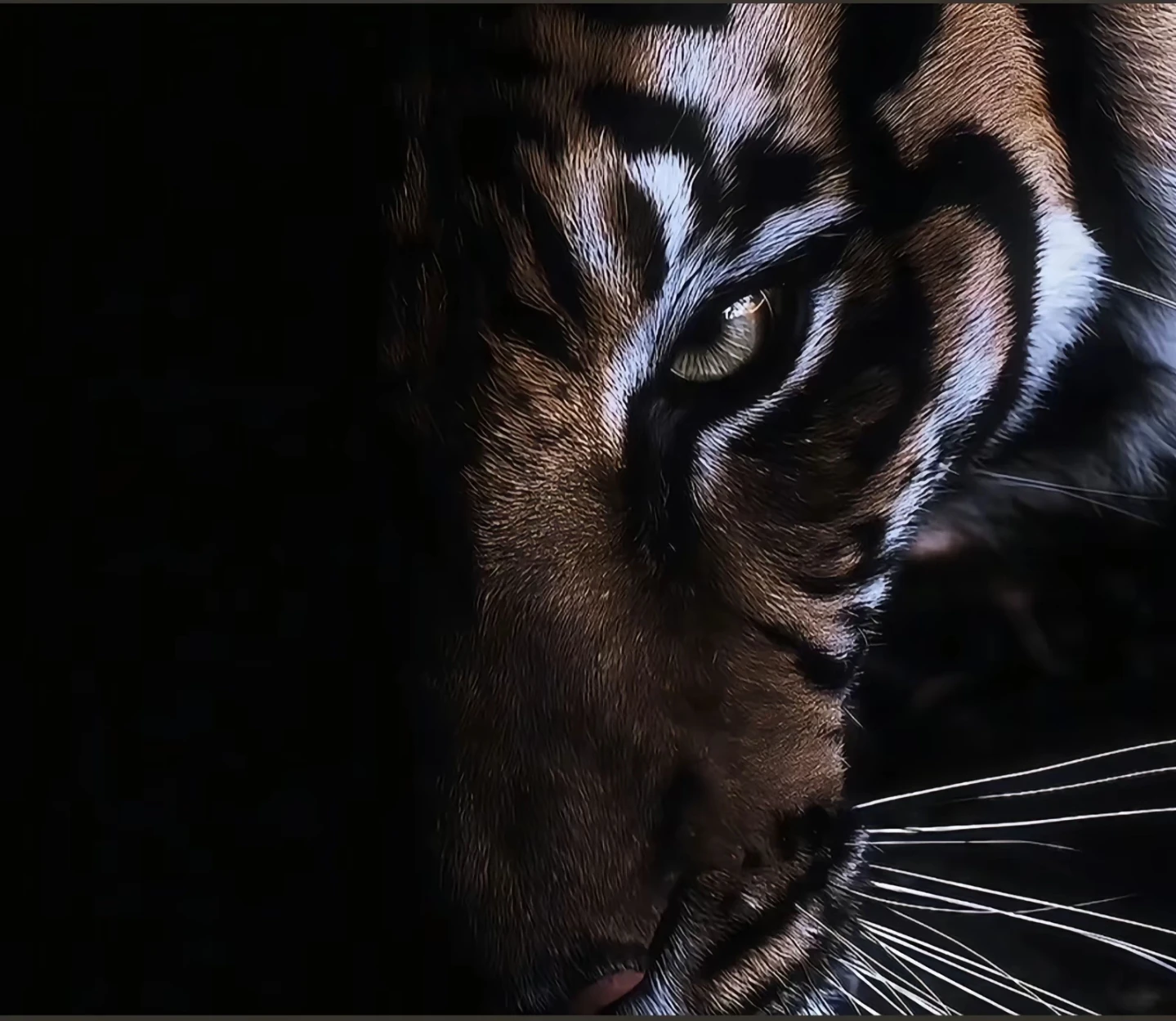 鼎圣技术员的头像-鼎圣个人网