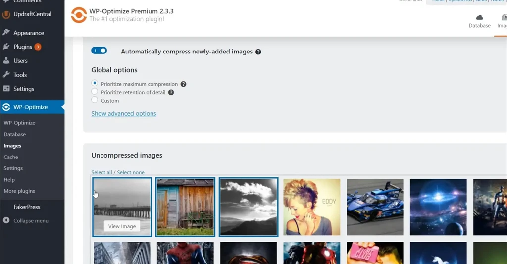 WordPress优化插件 WP-Optimize Premium v4.6.0 补丁版-鼎圣个人网